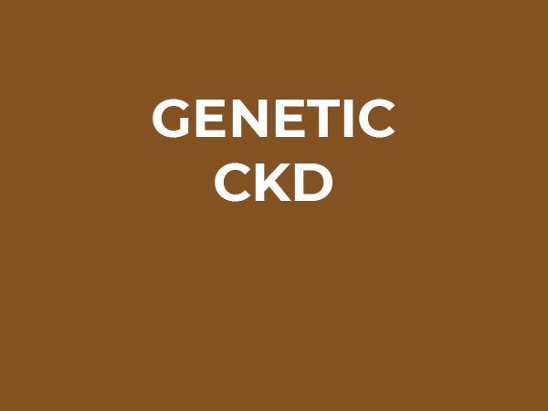 Genetic CKD