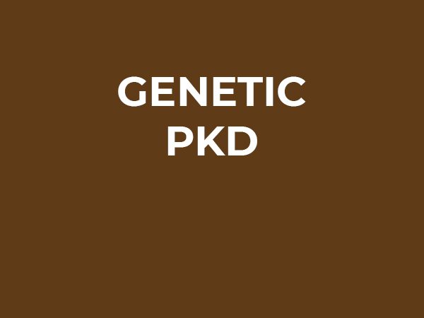 14-2-GENETIC PKD